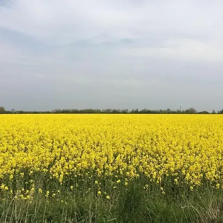 Hébergement de vacances Kleine Freiheit Fehmarn